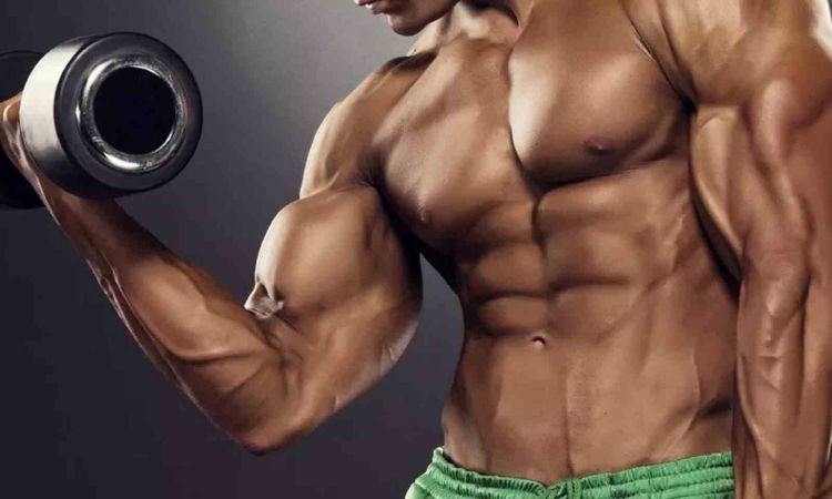 top 10 bodybuilding supplements